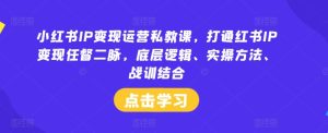 小红书IP变现运营私教课,打通红书IP变现任督二脉,底层逻辑、实操方法、战训结合-网创电课网