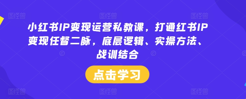 小红书IP变现运营私教课,打通红书IP变现任督二脉,底层逻辑、实操方法、战训结合-网创电课网