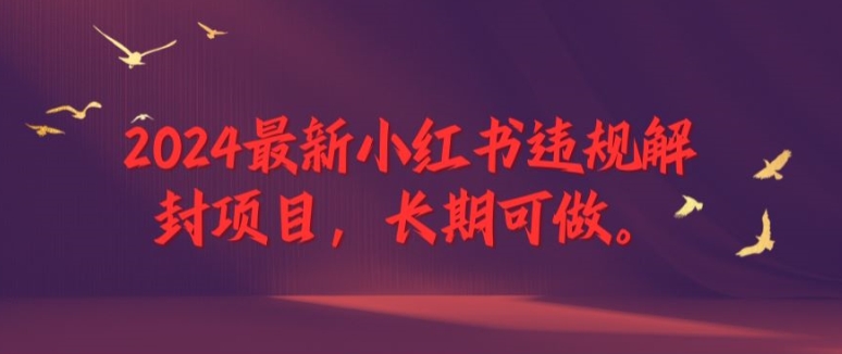 2024最新小红书违规解封项目，长期可做，一个可以做到退休的项目-网创电课网