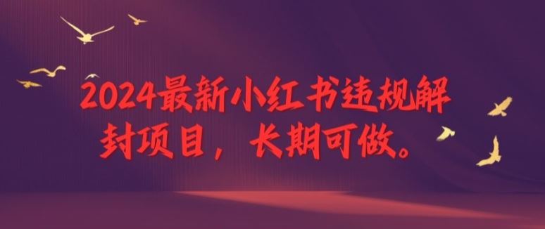 2024最新小红书违规解封项目，长期可做，一个可以做到退休的项目【揭秘】-网创电课网