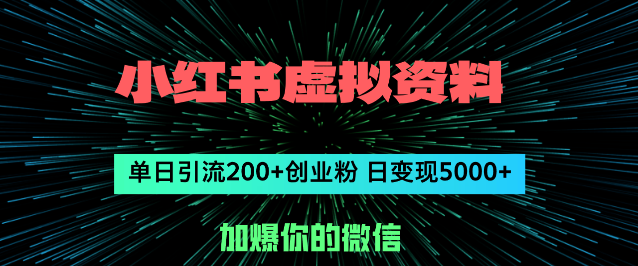 （12164期）小红书虚拟资料日引流200+创业粉，单日变现5000+-网创电课网