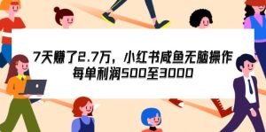 （12192期）7天收了2.7万，小红书咸鱼无脑操作，每单利润500至3000-网创电课网