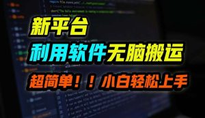 （12203期）B站平台用软件无脑搬运，月赚10000+，小白也能轻松上手-网创电课网