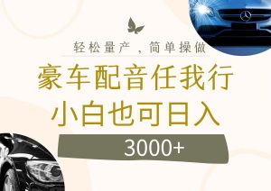 (12206期)不为人知的暴力小项目,豪车配音,日入3000+-网创电课网