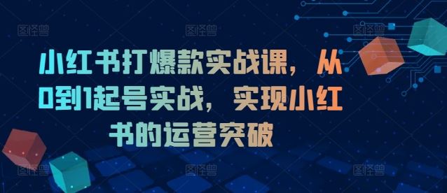小红书打爆款实战课,从0到1起号实战,实现小红书的运营突破-网创电课网