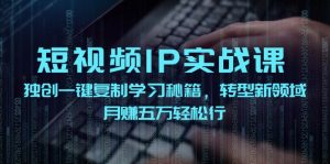 短视频IP实战课，独创一键复制学习秘籍，转战新领域，月赚五万轻松行-网创电课网