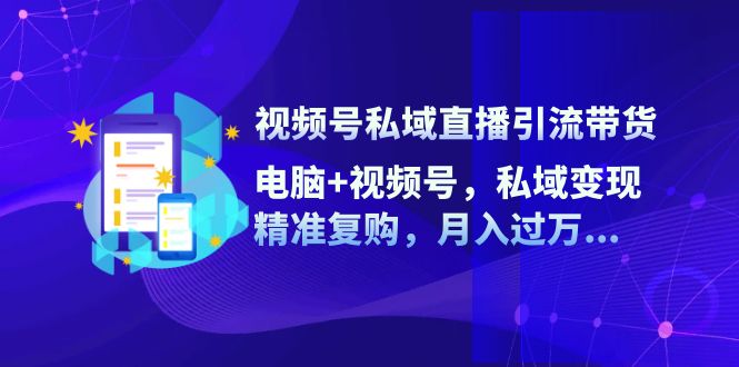 (12249期)视频号私域直播引流带货:电脑+视频号,私域变现,精准复购,月入过万…-网创电课网