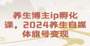 养生博主ip孵化课，2024养生自媒体旗号变现-网创电课网