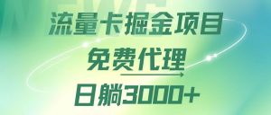 （12321期）流量卡掘金代理，日躺赚3000+，变现暴力，多种推广途径-网创电课网