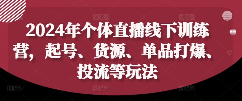 2024年个体直播训练营，起号、货源、单品打爆、投流等玩法-网创电课网