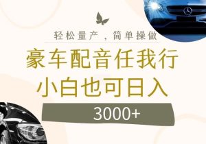 不为人知的暴力小项目，豪车配音，日入几张【揭秘】-网创电课网