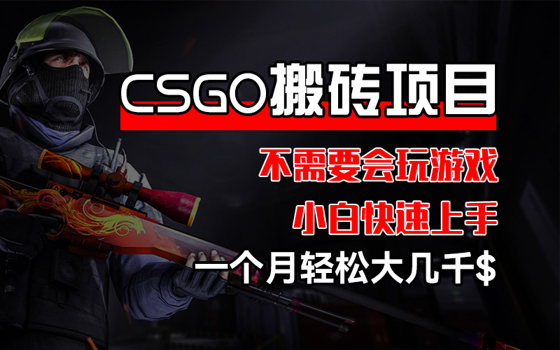 （12332期）CSGO 装备搬砖项目，操作简单，不需要会玩游戏，小白也能快速上手，一…-网创电课网