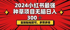(12336期)2024小红书最强种草项目,无脑日入300+,复制粘帖即可,多劳多得-网创电课网