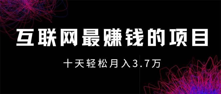 （12396期）互联网最赚钱的项目没有之一，轻松月入7万+，团队最新项目-网创电课网