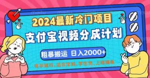 （12407期）2024最新冷门项目！支付宝视频分成计划，直接粗暴搬运，日入2000+，有…-网创电课网