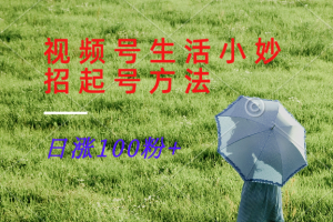 视频号生活小妙招分享赛道， 起号涨粉新方法，日涨100粉-网创电课网