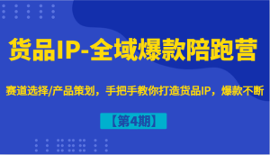 货品IP-全域爆款陪跑营【第4期】赛道选择/产品策划，手把手教你打造货品IP，爆款不断-网创电课网