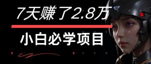 7天赚了2.8万！每单利润最少500+，轻松月入7万+小白有手就行-网创电课网