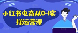 小红书电商从0-1实操运营课，小红书手机实操小红书/IP和私域课/小红书电商电脑实操板块等-网创电课网