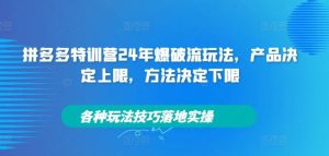 拼多多特训营24年爆破流玩法,产品决定上限,方法决定下限,各种玩法技巧落地实操-网创电课网