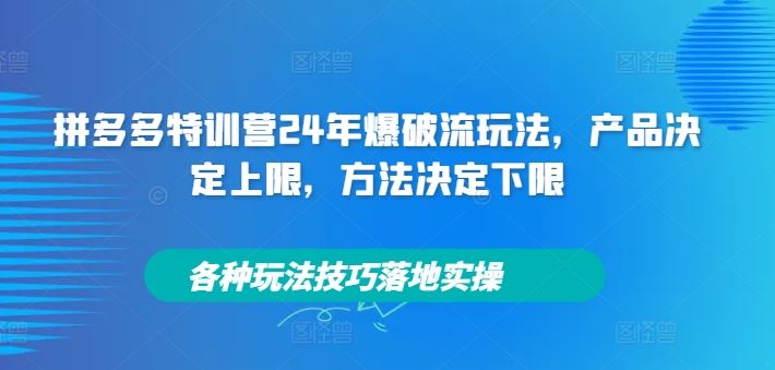 拼多多特训营24年爆破流玩法，产品决定上限，方法决定下限，各种玩法技巧落地实操-网创电课网