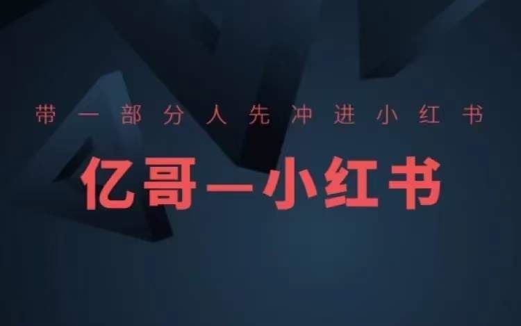 带一部分人先冲进小红书,小红书开店、选品、爆款裂变-网创电课网