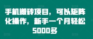 手机搬砖项目,可以矩阵化操作,新手一个月轻松5000多-网创电课网