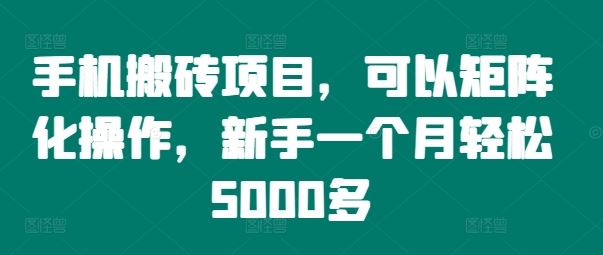 手机搬砖项目，可以矩阵化操作，新手一个月轻松5000多-网创电课网