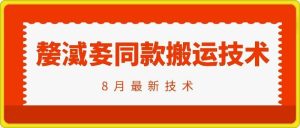 抖音96万粉丝账号【嫠㵄㚣】同款搬运技术-网创电课网