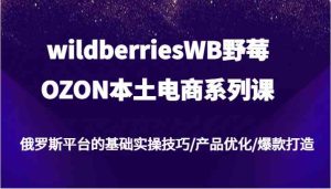 wildberriesWB野莓/OZON本土电商系列课,俄罗斯平台的基础实操技巧/产品优化/爆款打造-网创电课网