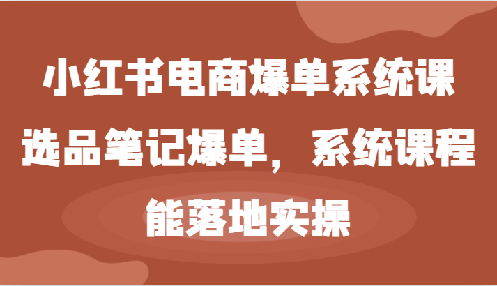 小红书电商爆单系统课-选品笔记爆单，系统课程，能落地实操-网创电课网