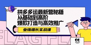 拼多多运最新营秘籍：业绩增长实战课，从基础到高阶，爆款打造与高效推广-网创电课网