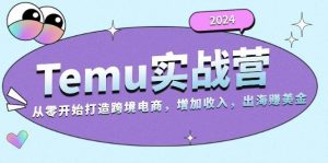2024Temu出海赚美金实战营,从零开始打造跨境电商增加收入(124G)-网创电课网