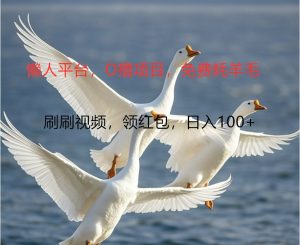 O撸懒人平台，全新手机广告不推广单机100+，刷刷就有捡钱一样， 简单无脑稳定-网创电课网