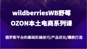 wildberriesWB野莓/OZON本土电商系列课,俄罗斯平台的基础实操技巧/产品优化/爆款打造-网创电课网