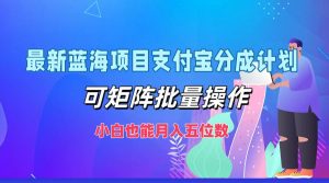 最新蓝海项目支付宝分成计划，可矩阵批量操作，小白也能月入五位数-网创电课网