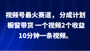 视频号最火赛道， 分成计划， 橱窗带货，一个视频2个收益，10分钟一条视频。-网创电课网