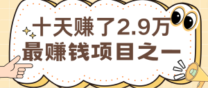 闲鱼小红书最赚钱项目之一，轻松月入6万+-网创电课网