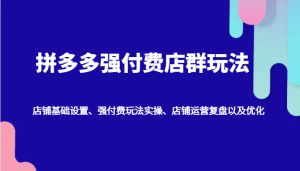 拼多多强付费店群玩法：店铺基础设置、强付费玩法实操、店铺运营复盘以及优化-网创电课网