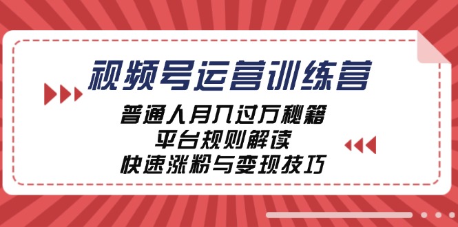 视频号运营训练营：普通人月入过万秘籍，平台规则解读，快速涨粉与变现-网创电课网