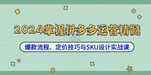 2024掌握拼多多运营精髓：爆款流程、定价技巧与SKU设计实战课-网创电课网