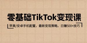 零基础TikTok变现课：苹果/安卓手机配置，最新变现策略，日赚500+技巧-网创电课网