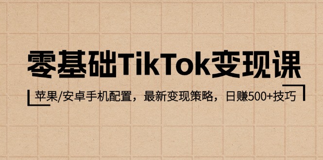 零基础TikTok变现课：苹果/安卓手机配置，最新变现策略，日赚500+技巧-网创电课网
