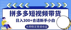 拼多多短视频带货日入300+,实操账户展示看就能学会-网创电课网