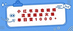 小红书治愈视频，流量超级火爆，单日变现1000+-网创电课网