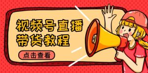 视频号直播带货教程:选品思路与话术拆解/掌握多种带货套路/提升直播效果-网创电课网