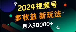 2024视频号多收益的新玩法，月入3w+，新手小白都能简单上手！-网创电课网