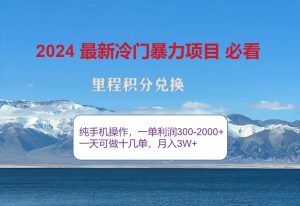 2024惊爆冷门暴利，里程积分最新玩法，高爆发期，一单300+—2000+-网创电课网