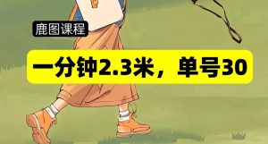 一分钟2-3米，单号30，多号多撸-网创电课网
