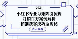 小红书专业号矩阵引流课，月销百万案例解析，精准获客技巧全揭秘-网创电课网